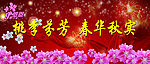 教师节