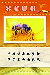 校园文化标语牌