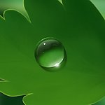 高精超实用水珠素材