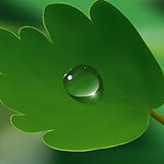 高精超实用水珠素材