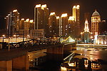 耸立夜色中