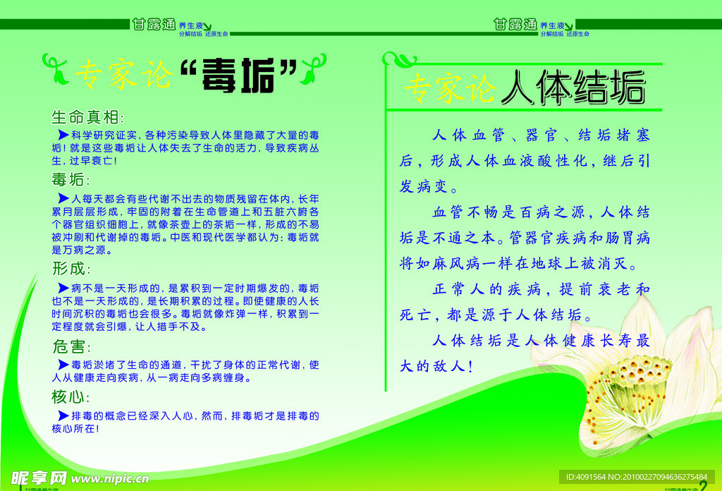 养生画册内页