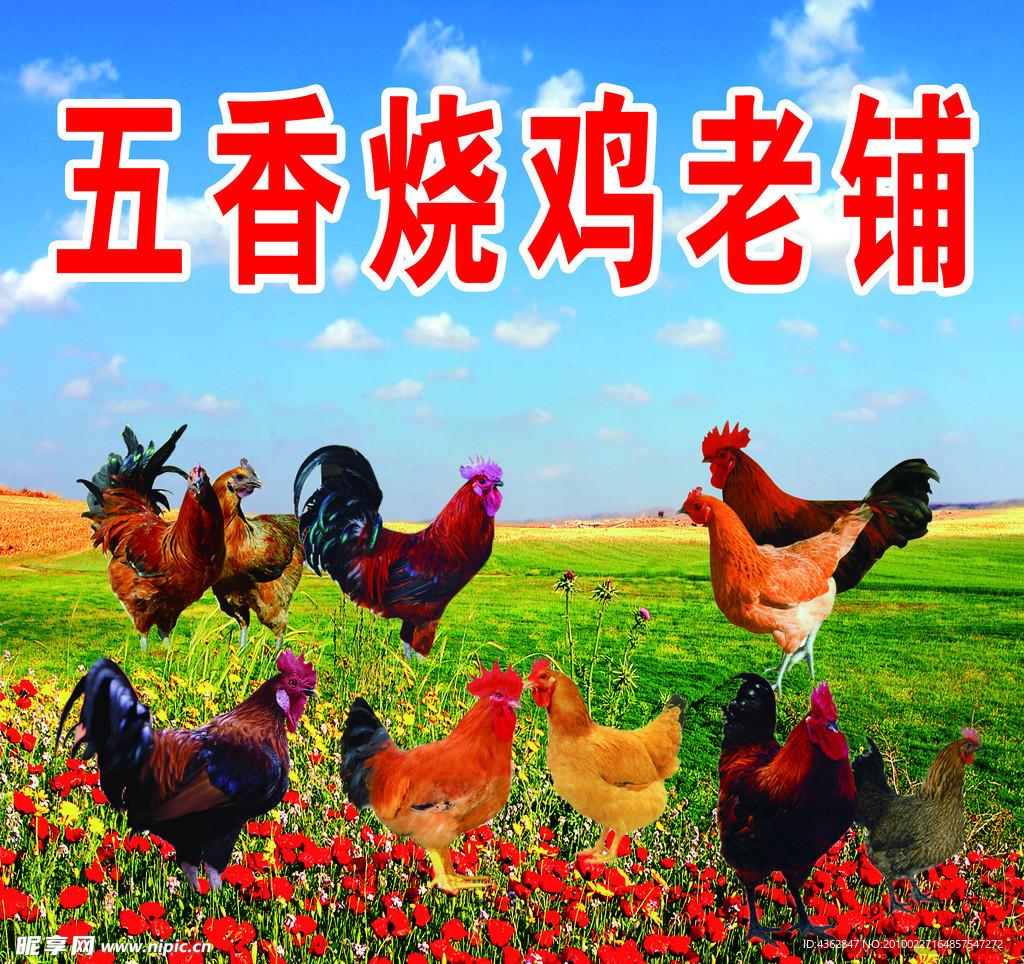 蓝天草地