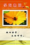 校园文化标语牌
