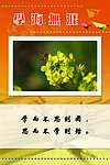 校园文化标语牌