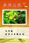 校园文化标语牌