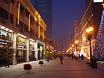 小白楼夜景