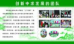 创新中求发展的团队