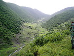 深山