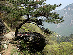 飞云览纵