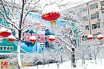 雪中的灯笼