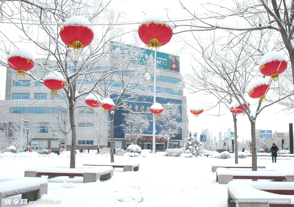 雪中灯笼