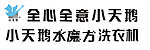 小天鹅