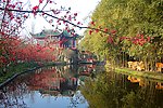 双流 棠湖公园 海棠花 花卉 海棠 花朵 亭子 湖面 竹子