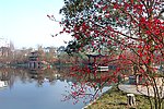 双流 棠湖公园 海棠花 花卉 海棠 花朵 亭子 湖面