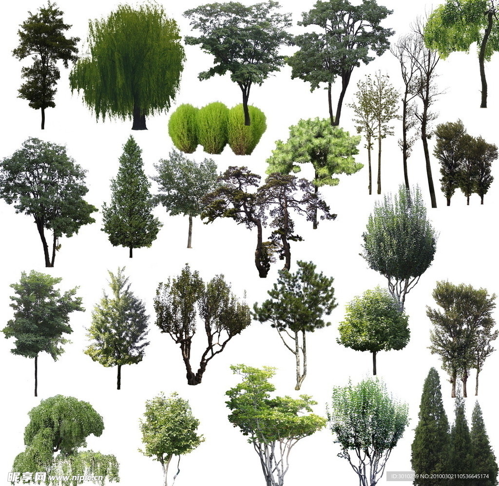 植物素材