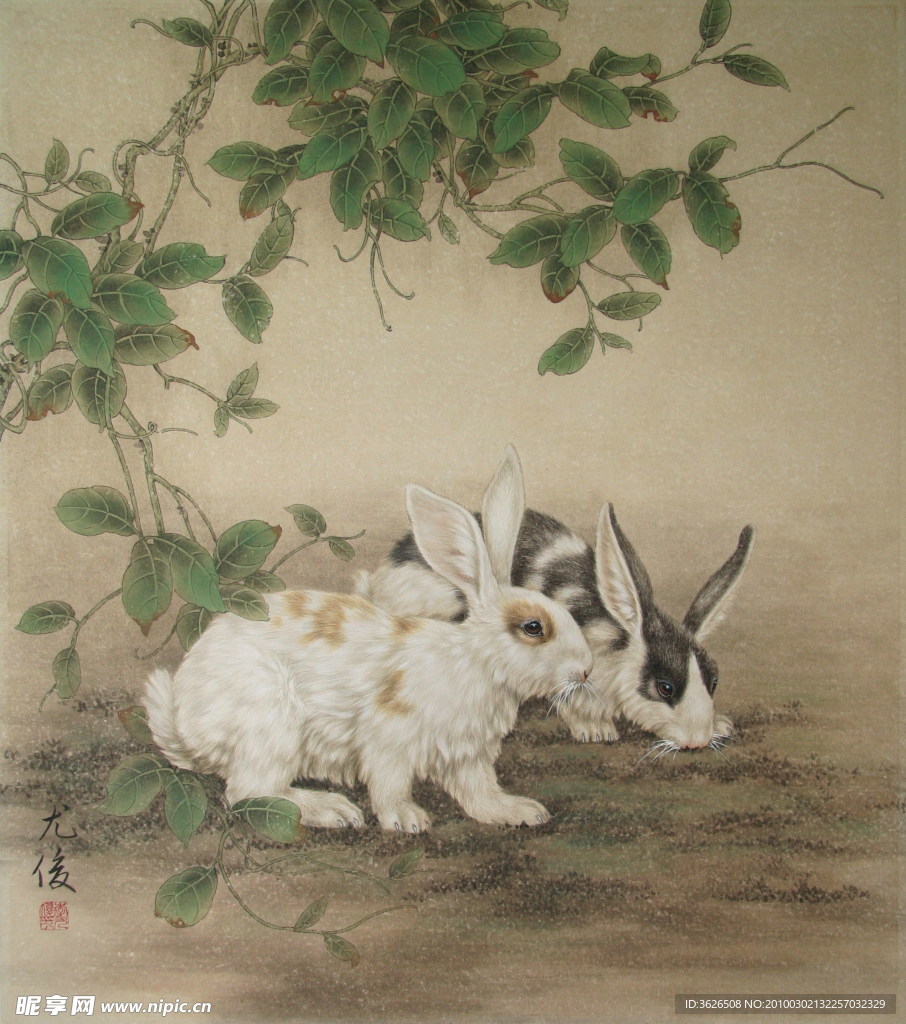 兔年画兔
