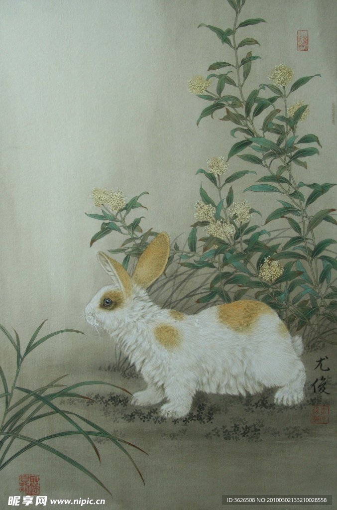 兔年画兔