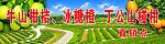 柑桔门牌