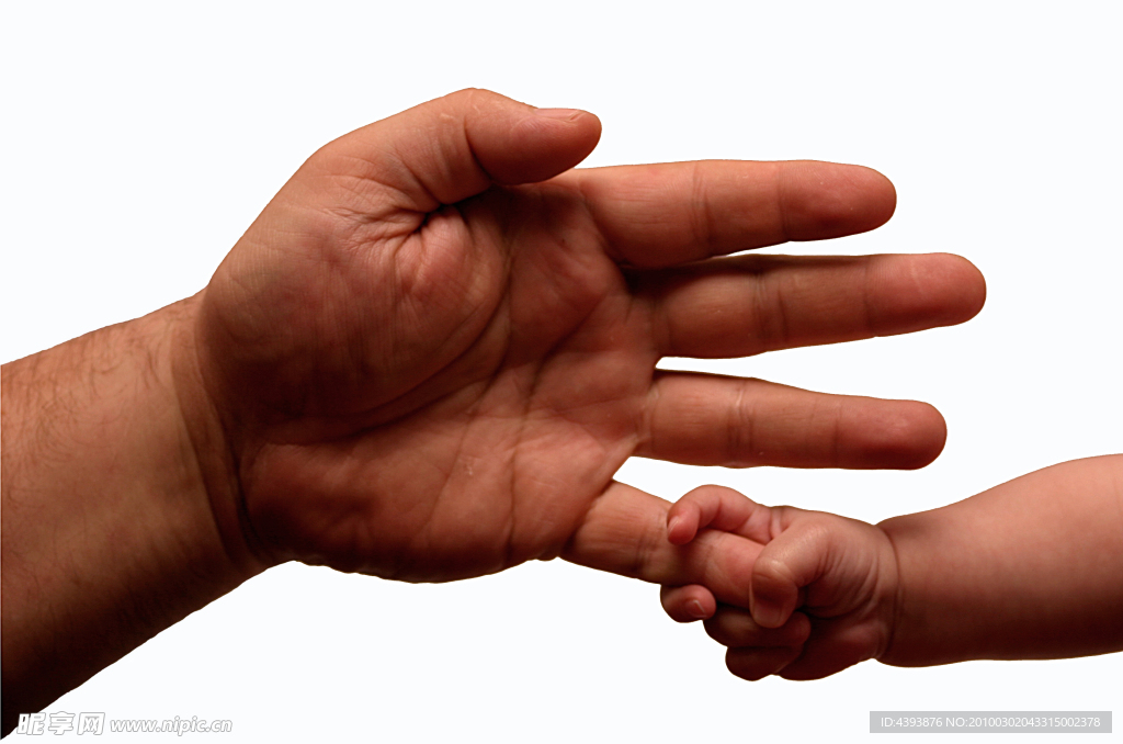 大人的手和婴儿的手