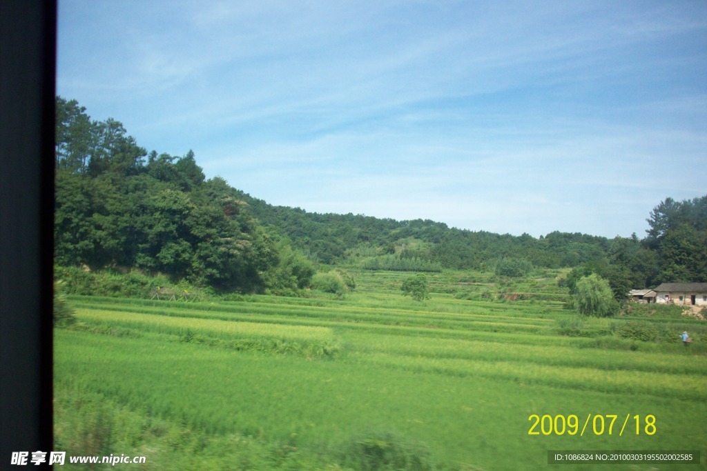 风景草地