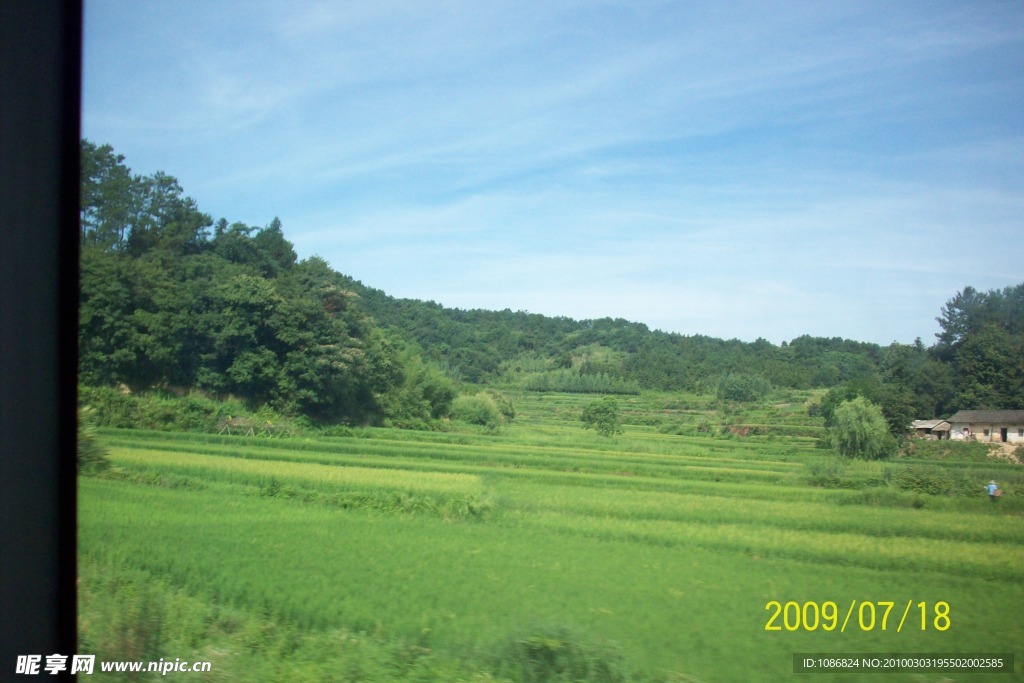 风景草地