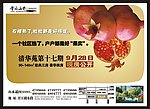 房地产广告