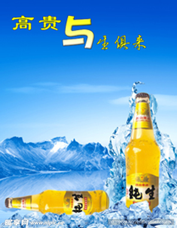 啤酒宣传单