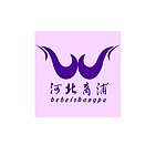 司标