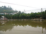 旅游摄影 水 房子 树子