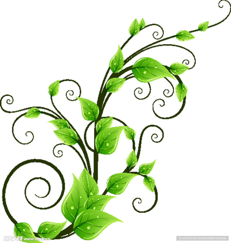 绿色藤类植物矢量素材
