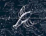 星座