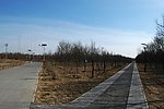 公园里的岔路口