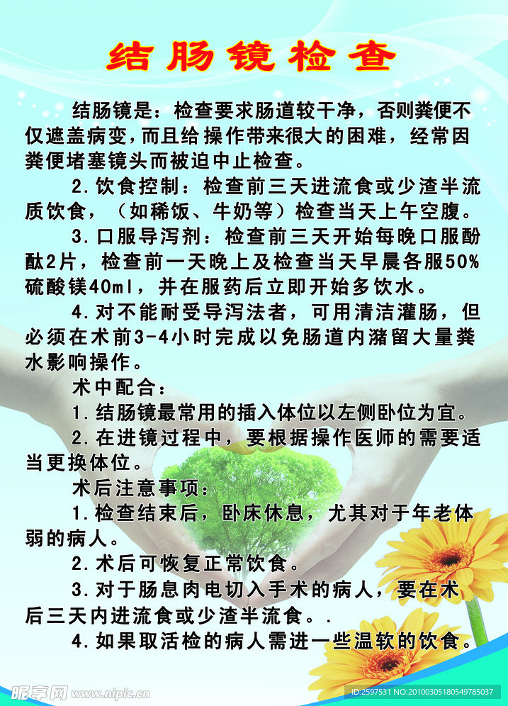 结肠镜检查