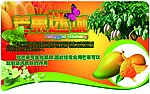 芒果迷城