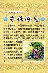 守株待兔