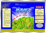 银晶软占