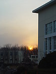 夕阳