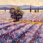 风景油画38 ( 60厘米 X 60厘米 )