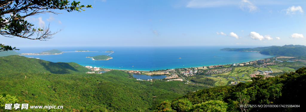 大海 森林