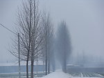 雪后的乡间小路