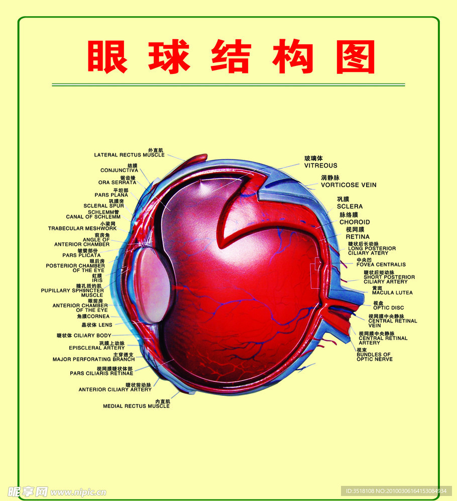 眼球图