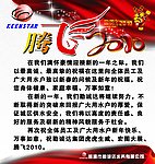 腾飞2010 彩带 虎年