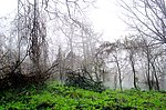 江源干饭盆景区