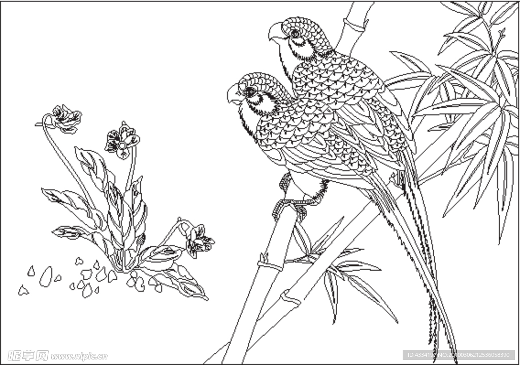 兰花竹雀