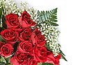 玫瑰花