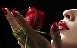 玫瑰花