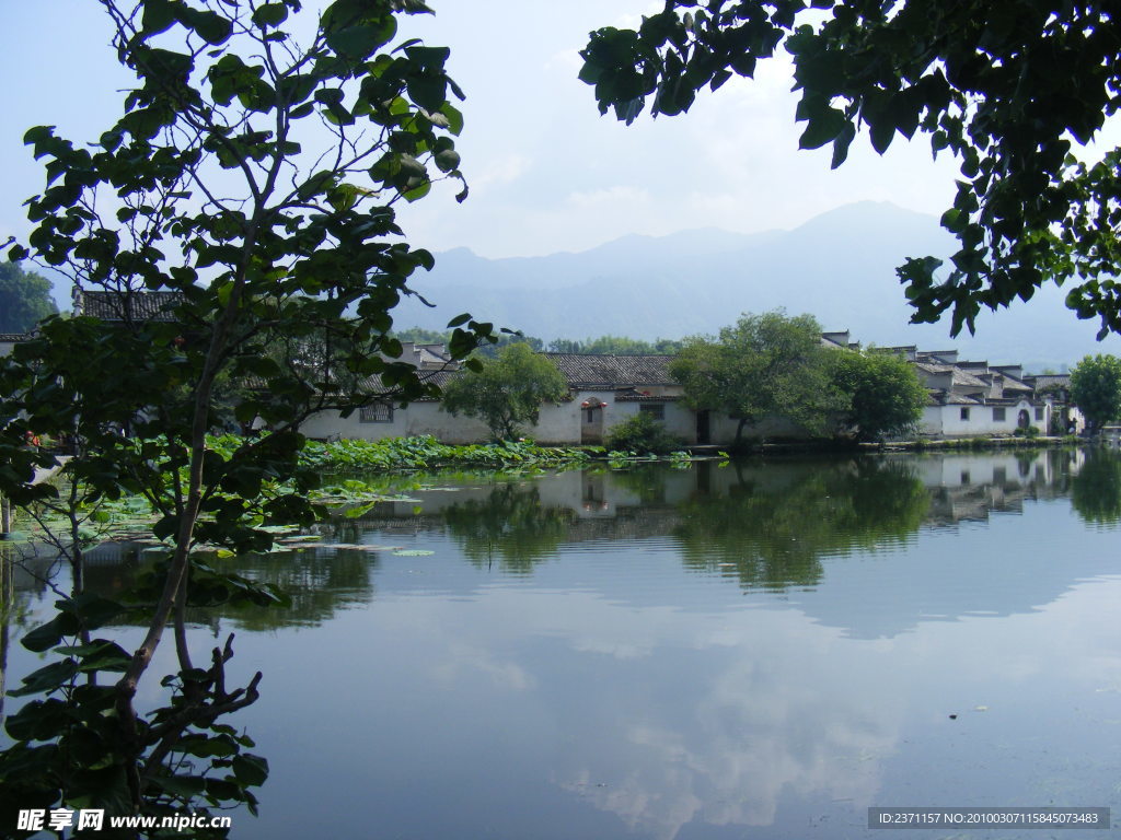 湖 风景