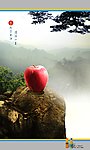 饮料广告