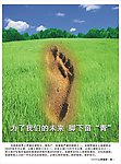 环保